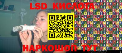 стаф Бузулук