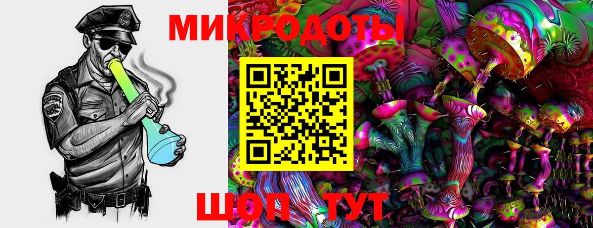 Реж  Псилоцибиновые грибы MAGIC MUSHROOMS  Вход с VPN 